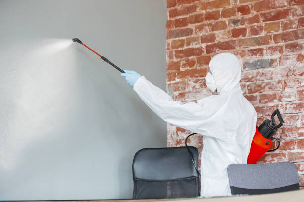 Best Airborne Mold Testing  in Lan, MI