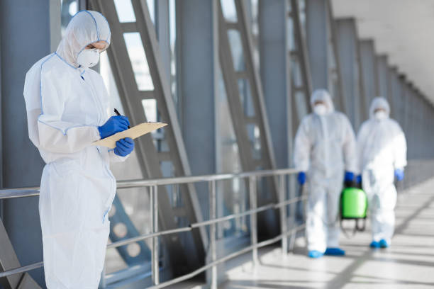 Best Mold Damage Restoration  in Lan, MI