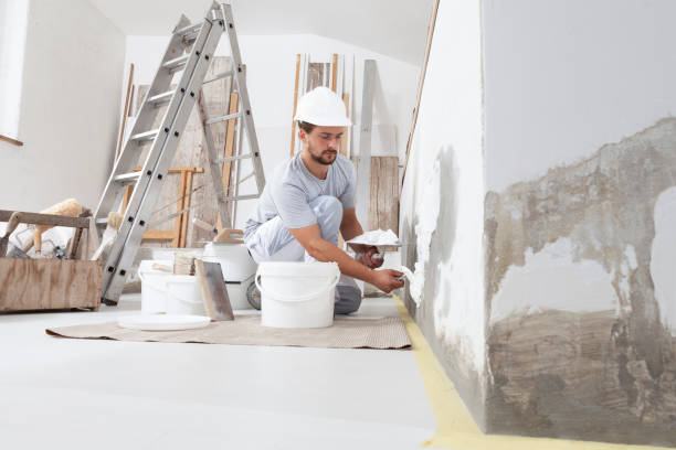 Biohazard Mold Removal in Milan, MI