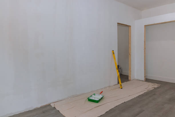 Best Mold Removal for HVAC Installations  in Lan, MI