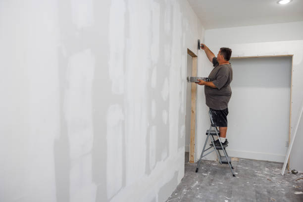 Best Real Estate Mold Inspection  in Lan, MI