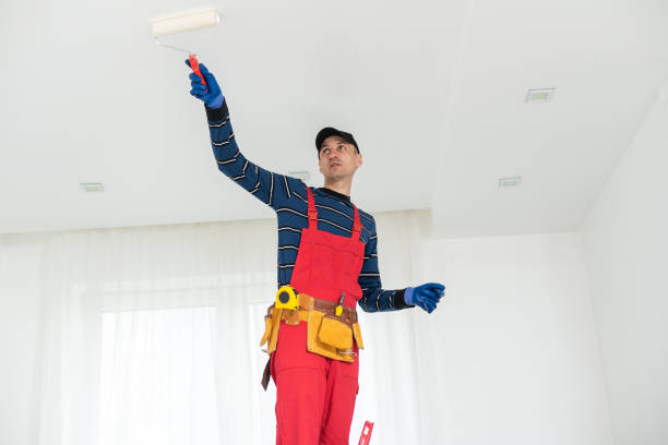 Best Dehumidification Services  in Lan, MI