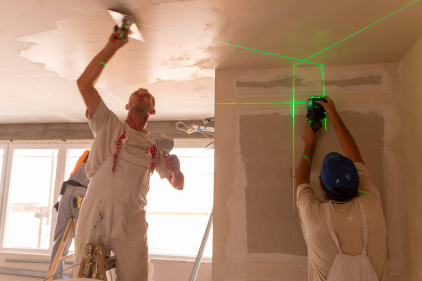 Best Mold Damage Restoration  in Lan, MI