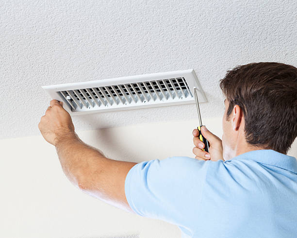 Best Water Damage & Mold Remediation  in Lan, MI