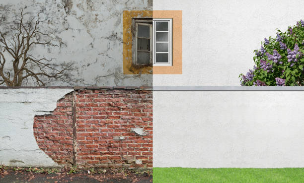 Reliable Milan, MI Mold Removal Solutions