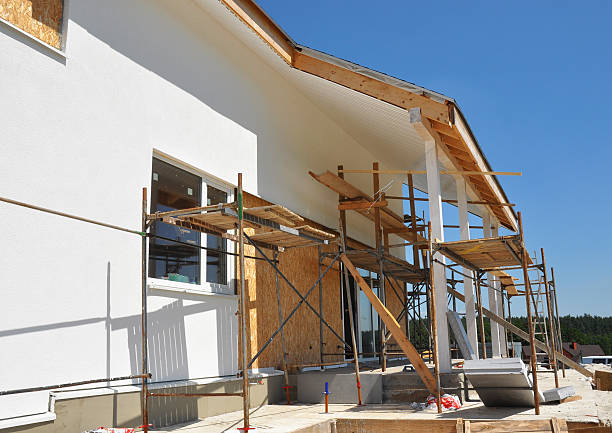 Best Mold Documentation for Insurance Claims  in Lan, MI