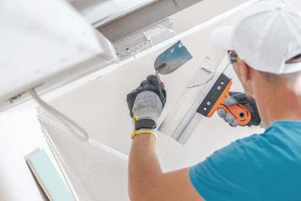 Best HVAC Mold Inspection and Cleaning  in Lan, MI
